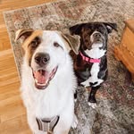 Henry & Mabel - @henryandmabelrobinson - Instagram