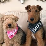 mabel and henry - @henryandmabel - Instagram