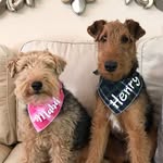 mabel welsh & henry - @mabelwelsh - Instagram
