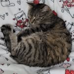 Mabel Courtney Hinton - @mabelhinton - Instagram