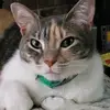 Mabel Hinton - @grandma.1949 - TikTok