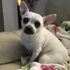 Mabel Hobson - @mabel.hobson - TikTok