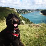 Mabel💗 - @mabelonholiday - Instagram