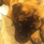 Mabel - @mabelrosehorne - Instagram
