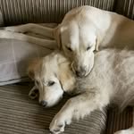 Phoebe & Mabel Howard - @pheebandmabe - Instagram