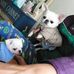 Mable Hui - Facebook