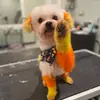 Mabel_Law - @mabel_law99 - TikTok