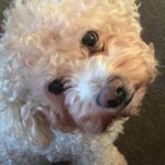 Mabel Law - @mabel.law.988 - Instagram