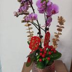 Mabel Li - Facebook