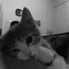 mabel - @mabell_lo - TikTok