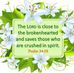 Mabel Kate Lowe - Facebook
