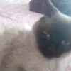 Mabel Luis Villagra - @mabelluisvillagra - TikTok