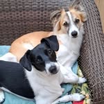 ClaudiaLukemabel Vidall - @claudialukemabel - Instagram