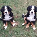 Mabel and Luke Hertner - @mabelandluke2023 - Instagram