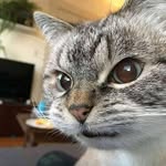 Mabel - @mabel_luke0 - Instagram