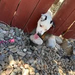 Mabel Lynch - Facebook