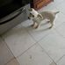 Mabel Lynn - Facebook