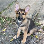 Mabel Lynn Jones - @mabel.j_11 - Instagram