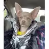 Mabel May - @mabel_may_2022 - TikTok