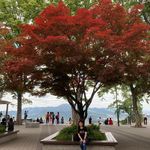 Mabel Mak - @mak1686 - Instagram