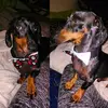 Mable Malone - @mable_malone - TikTok