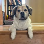 Mabel Maloney - @themarvelous_missmabel - Instagram