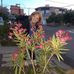 Mabel Mancini - Facebook
