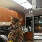 Mabel Margate - Facebook
