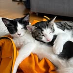 Mabel & Marshall - @mabelundmarshall - Instagram