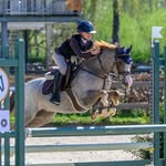Mabel & Marshall - @mabels_horse_life - Instagram