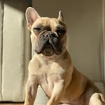 Mabel Marshall - @mabel__itsmaybelline - Instagram