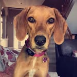 Mabel Marshall - @mabel_getoffthetable - Instagram