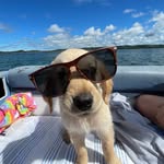 Mabel Marshall - @mabel.karley.liam - Instagram