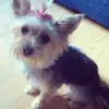 Mabel Marshall - @mabel_marshall - TikTok
