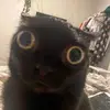 Nell - @mabelmarshall - TikTok