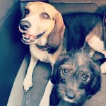 Mabel & Marvin - @mabelandmarv - Instagram