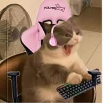 ᴹᵃᵇᵉˡ <3 - @mabelmasteryt - Instagram
