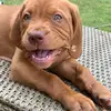 mabel_the_mastador - @mabel_the_mastador - TikTok