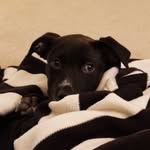 Mabel - @mabel_masters_ - Instagram
