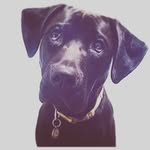 Mabel Mayer - @mabellllllll_ - Instagram