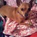 Mabel McCoy - Facebook