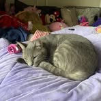 Mabel McDowell Burkhardt - Facebook