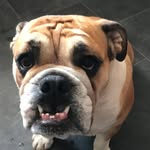Mabel McIntyre - @mabelmcintyre04 - Instagram