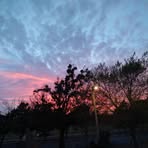 Max Maybell - Facebook