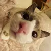 meekaandmabel - @meekaandmabel - TikTok