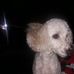 Mabel Meier - Facebook