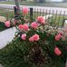 Mariela Mabel Meier - Facebook