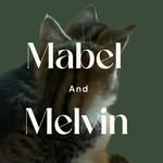 Mabel + Melvin - @mabelandmelvin - Instagram