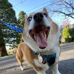 Mabel • Melvin • Murphie - @thetriplem0108 - Instagram