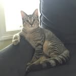 Melvin, Mabel & Ruthie J. - @melvin_mabel_n_ruthie - Instagram